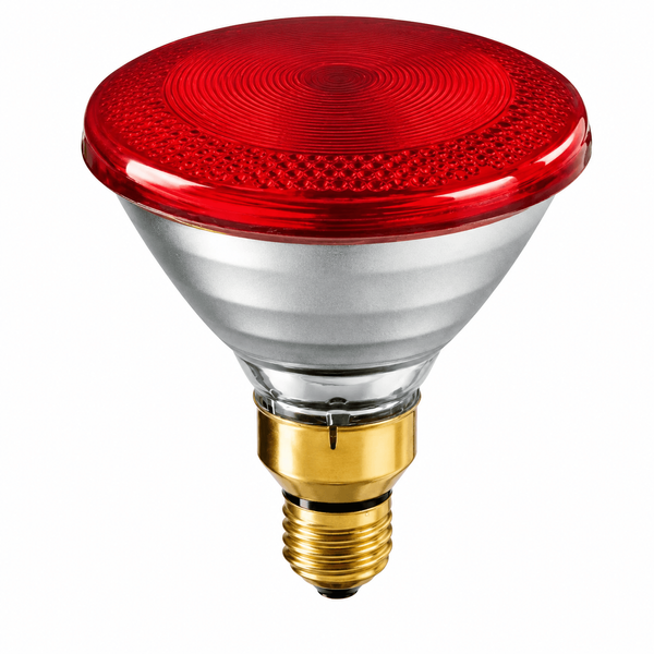 Лампа інфрачервона для обігріву поросят 175W InterHeat 1049 фото
